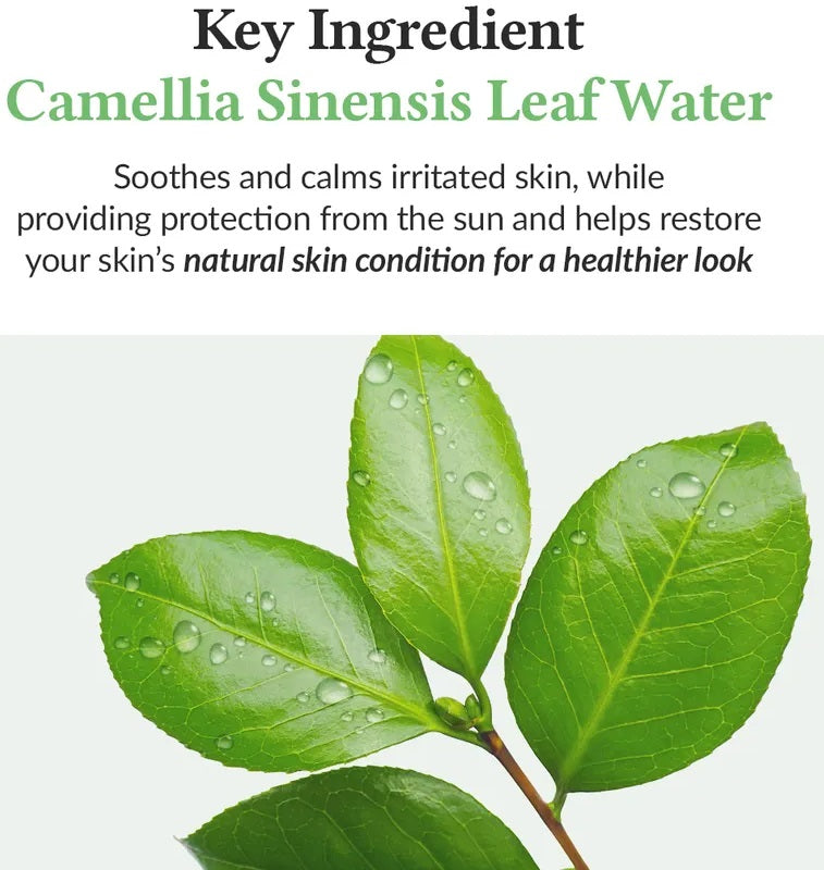 DR Althea Protector Solar Green Tea Fresh Sunscreen DRALTHEA