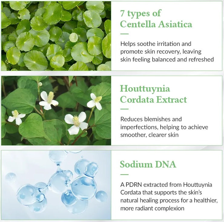 DR Althea Protector Solar Green Tea Fresh Sunscreen DRALTHEA